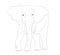 Elephant graphic line, goes, vector