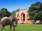 Elephant on a grass before Gate to Itmad-Ud-Daulah\'s Tomb (Baby Taj) at Agra, Uttar Pradesh, India