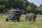 An elephant grazes next to a tourist safari jeep.