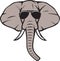 Elephant head with aviator sunglasses color