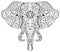 Elephant head doodle on white vector sketch.