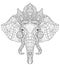Elephant head doodle on white vector sketch.