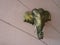 Elephant head hanger hook on the wall