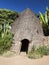 Elephant head like traditional Dorze house. Hayzo village, Omo V