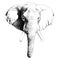 Elephant head sketch vector