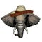 Elephant head. Sombrero mexican hat. Portrait of wild animal.