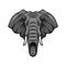 Elephant head, tusks and trunk vector mascot icon