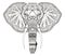 Elephant head zentangle stylized, vector, illustration, freehand