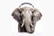 Elephant With Headphones On White Background. Generative AI