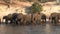 Elephant Herd on Chobe River, Botswana