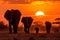 elephant herd at sunset