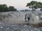 Elephant Herd at Water Hole in Etosha National Park, Namibia, Africa