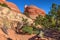 Elephant Hill Trail. Needles District of the Canyonlands National Park in Utah.