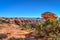 Elephant Hill Trail. Needles District of the Canyonlands National Park in Utah.