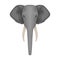 Elephant icon in cartoon style on white background. Realistic animals symbol stock vector illustration.