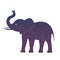 Elephant icon symbol silhouette space blue and purple sky star h