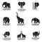 Elephant icons set