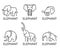 Elephant icons set