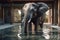 The elephant in the indoor pool. Generative AI image.