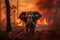 Elephant inside a Burning Forest symbolizing the Urgent Message of Deforestation Climate Changer and Global Warming. Ai generated