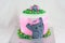 Elephant inspired cake with wjite background