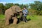 Elephant interacts with tourist