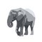 Elephant isolated vector illustration