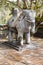 Elephant at Khiem Tomb of Tu Duc in Hue Vietnam