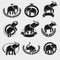 Elephant label and icons set. Vector