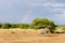 Elephant, Lake Manyara National Park