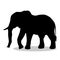 Elephant mammal black silhouette animal