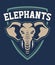 Elephant Mascot Sport Emblem Design