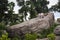 Elephant and Naga big snake on cliff stone in Wat Tham Klong phen forest temple for Thai people and foreign travelers travel visit