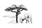 Elephant near a tree in africa. Hand drawn illustration