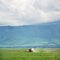 elephant in ngoro ngoro crater