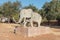 Elephant of Olifantshoek elephant corner, town in the Northern