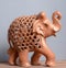 Elephant is one of the significant symbols of fen-shui teachings. In Asia, this wise, hard-working animal is still honored.
