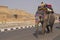 Elephant Passing Amber Fort