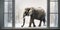 An elephant is peacefully standing in front of a window covered with snow. Generative AI