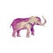 Elephant picture. Isolated low poly animal. Mammal of africa.