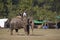 Elephant polo in Nepal