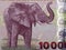 Elephant a portrait from Tanzanian money