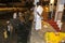 An elephant prepares to be dressed in a ceremonial costume within the Temple of the Sacred Tooth Relic complex in Kandy, Sri