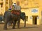 Elephant ride, Amber Fort, Jaipur, India