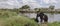 Elephant in river in Serengeti National Park