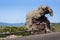 Elephant Rock of Castelsardo called Roccia dell`Elephante - known as Sa Pedra Pertunta, the perforated rock, Sardinia, Italy