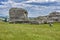 Elephant rocks near Oamaru