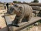 Elephant - Ruins of Vijayanagar Empire, hampi is a unesco world heritage site ,at Hampi, in Karnataka, India