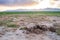 Elephant`s excrement in national park of Kenya, Africa