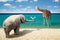 Elephant, seagull and giraffe at the beach